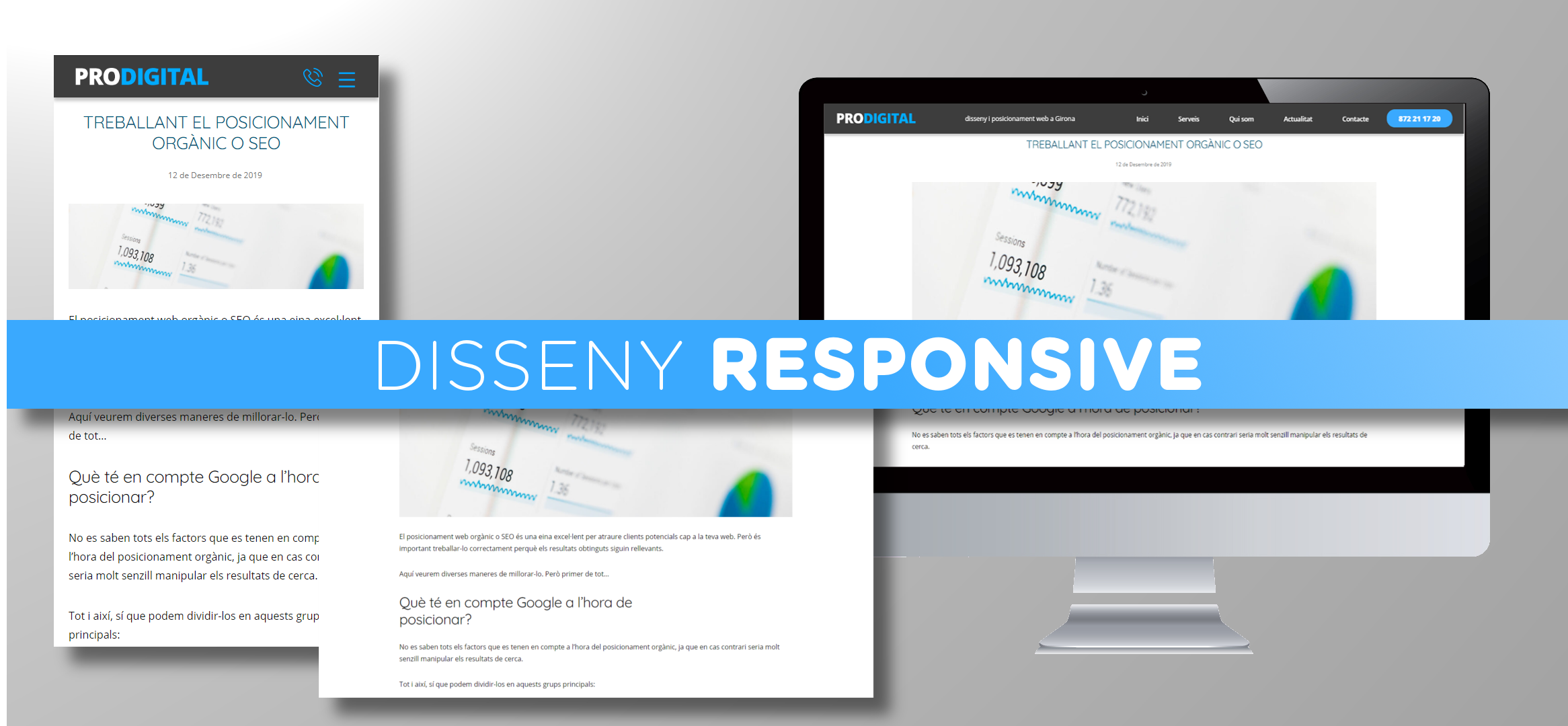 Diesseny web responsive