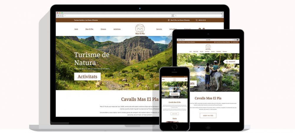 diseño web garrotxa