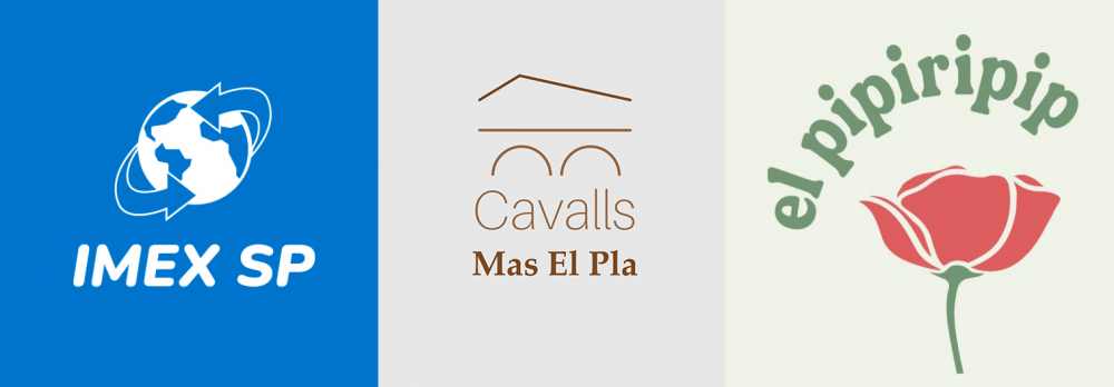 diseño logotipo